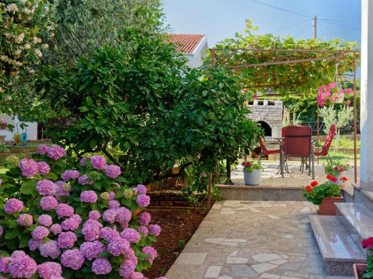 Apartments Marta By Rent Istria Novigrad  Bagian luar foto
